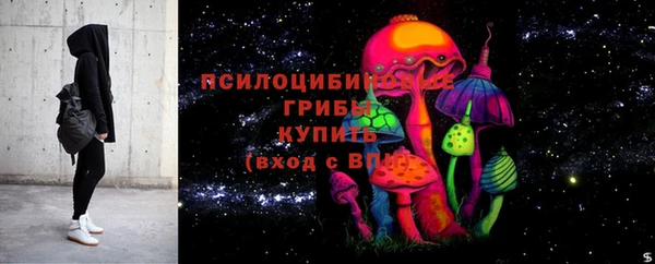 ГАЛЛЮЦИНОГЕННЫЕ ГРИБЫ Бугульма