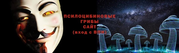 а пвп мука Бородино