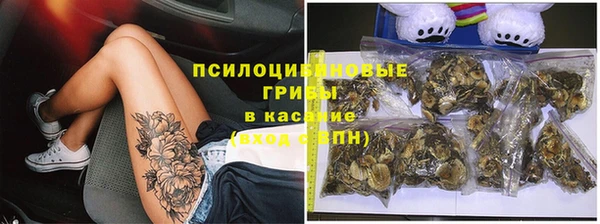 а пвп мука Бородино