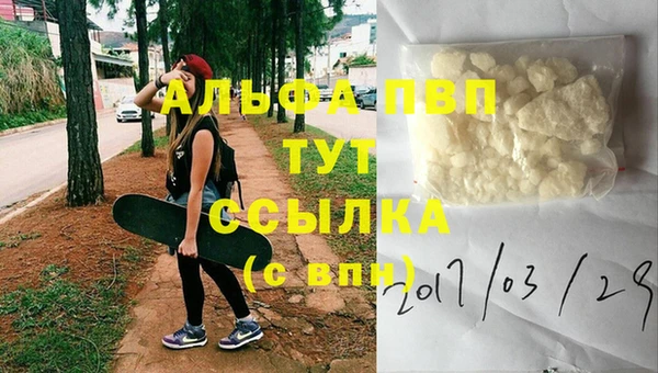 Альфа ПВП Верея