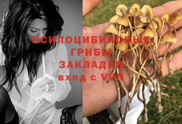 ГАЛЛЮЦИНОГЕННЫЕ ГРИБЫ Бугульма