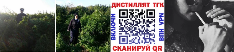 магазин    Киржач  блэк спрут tor  Дистиллят ТГК вейп с тгк 