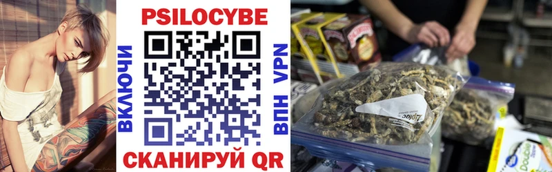 купить закладку  kraken онион  Галлюциногенные грибы GOLDEN TEACHER  Киржач 